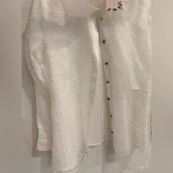 Elegant Dainty Jewells Sheer White Blouse with Bow - Picture 5 of 7